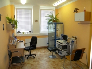 Ordinace Skvrňany - vstup